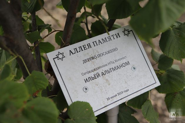 Аллея памяти у мемориала жертвам Холокоста
