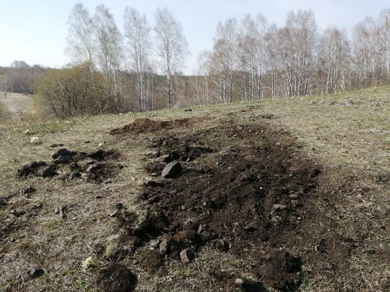Повреждение объекта культурного наследия федерального значения «Камешок 1, поселение». Алтайский край