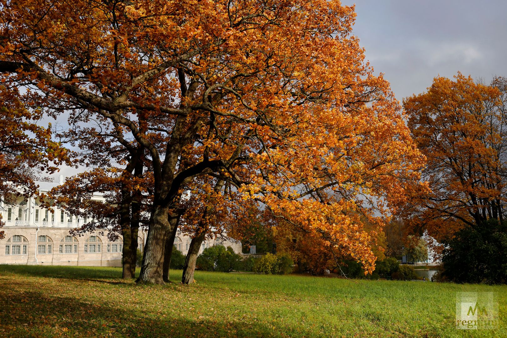 Осень в Екатерининском парке Царского Села
