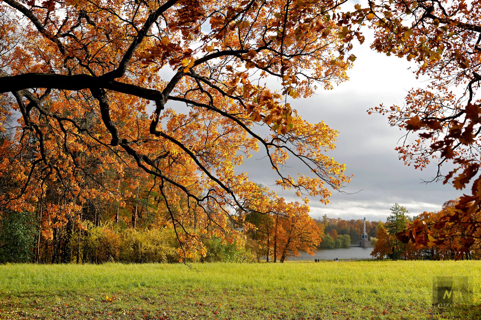 Осень в Екатерининском парке Царского Села