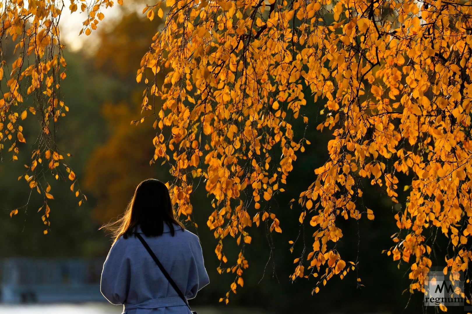 Девушка в Екатерининском парке осенью