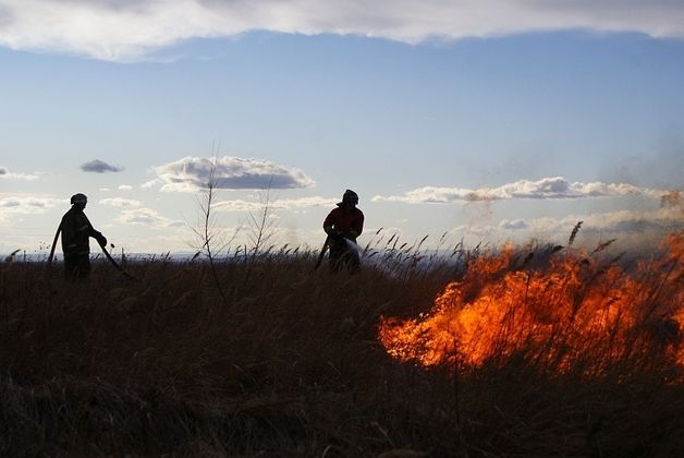 Борьба с пожаром в Забайкальском крае