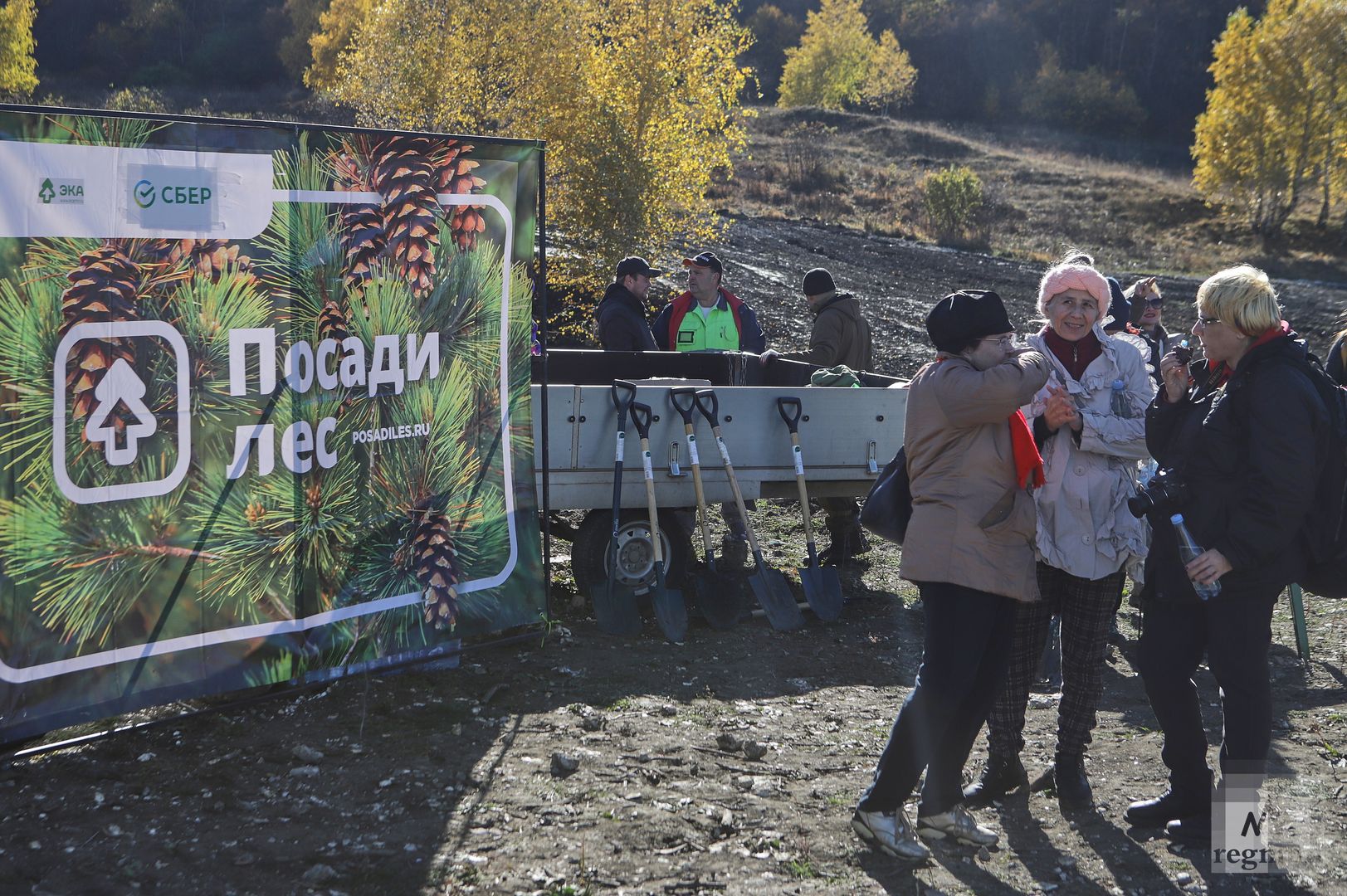 Экологическая акция по высадке деревьев в Кисловодске