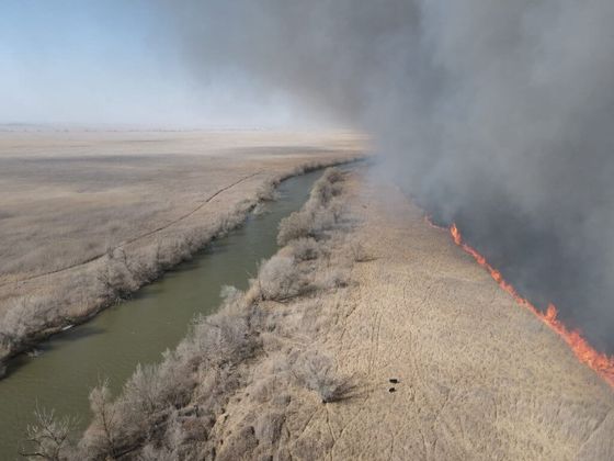Пожар в Астраханском заповеднике