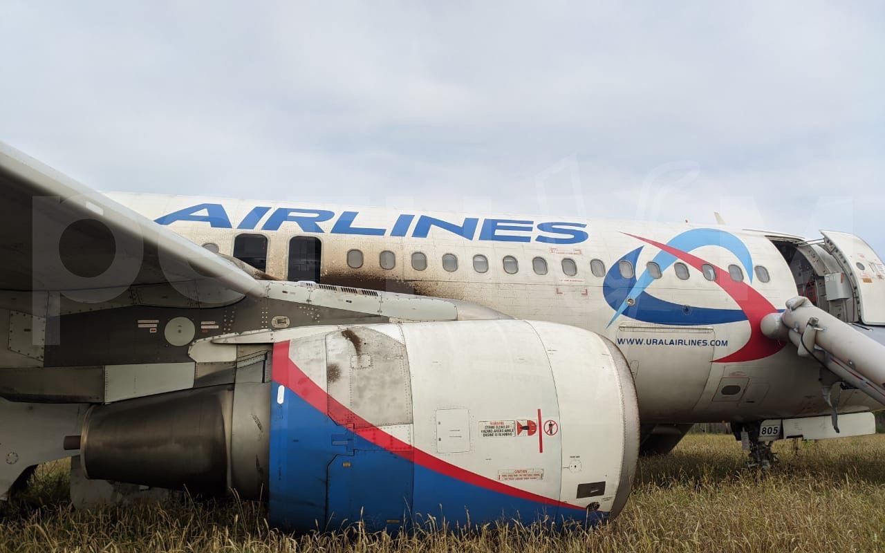 Экипаж A320 спас 167 человек, посадив самолёт в поле под Новосибирском