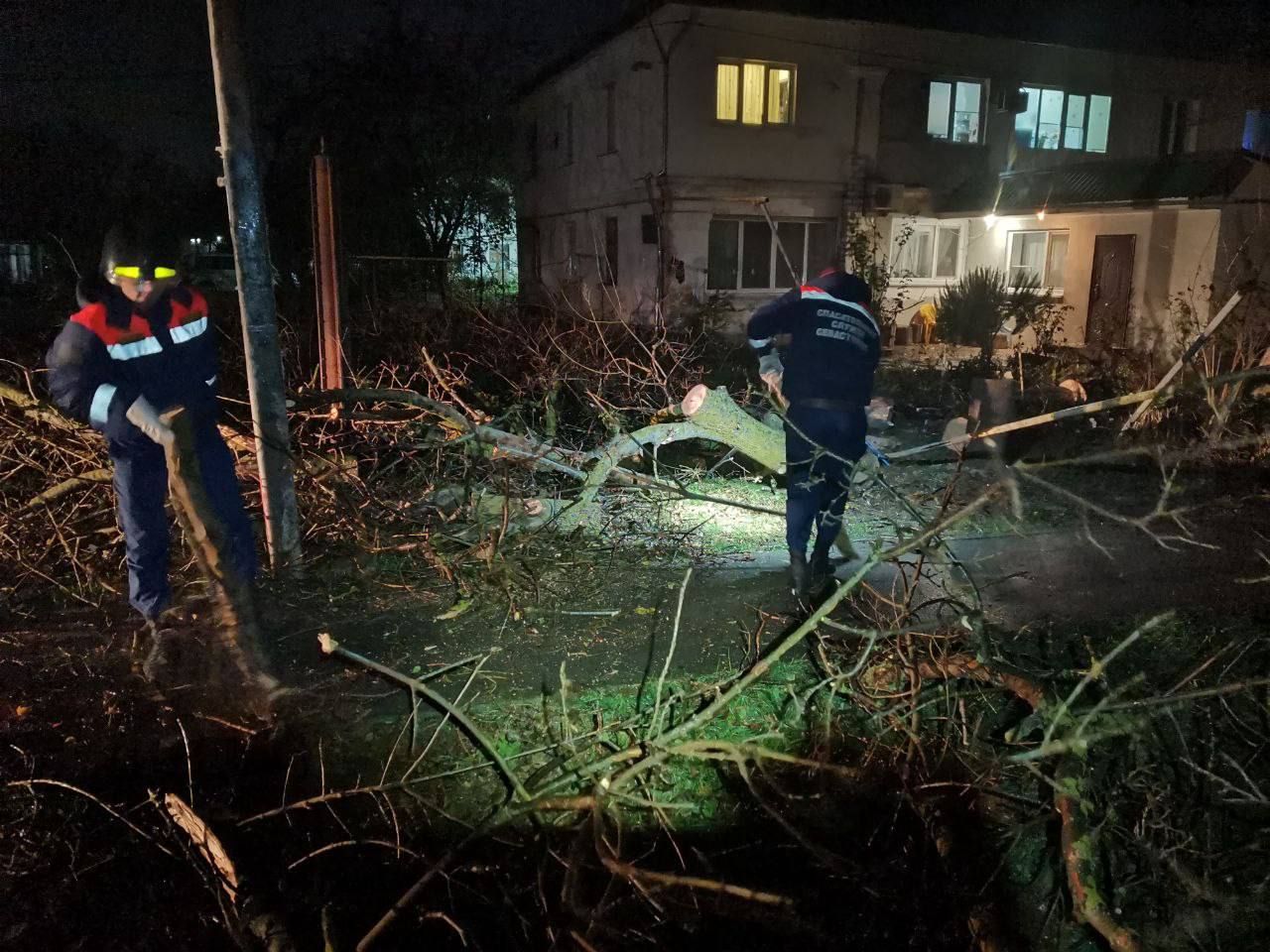 В Севастополе от ураганного ветра пострадали три человека