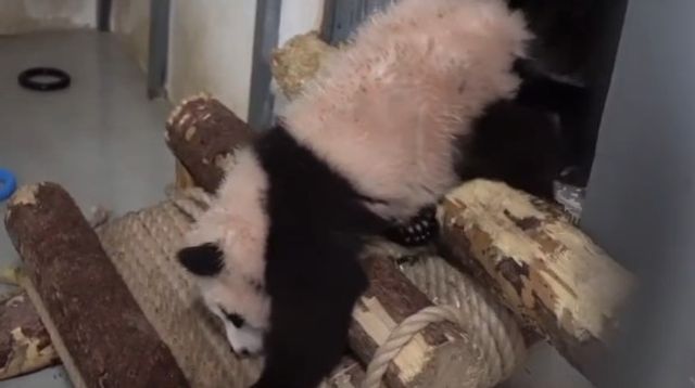 Дмитрий карпицкий ярославль. Ген директор табриса сергей попов. Вице-президент ростелекома владимир кириенко. Сергей попов табрис. Ген.