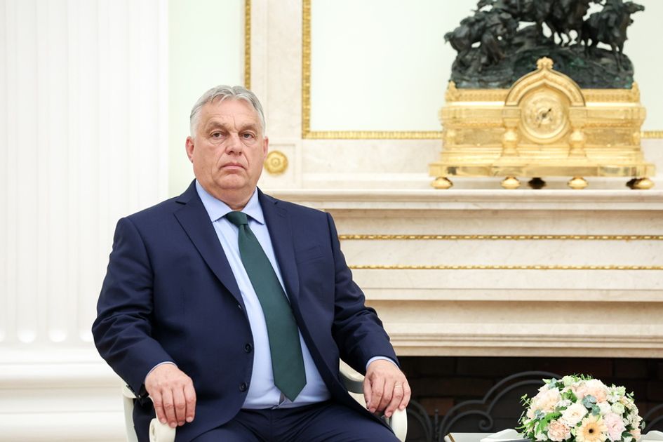 Рогов назвал истерикой реакцию Запада на визит Орбана в Москву