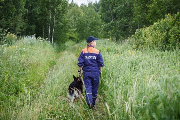 Спасатели вывели заблудившихся мужчин из леса в Ленинградской области