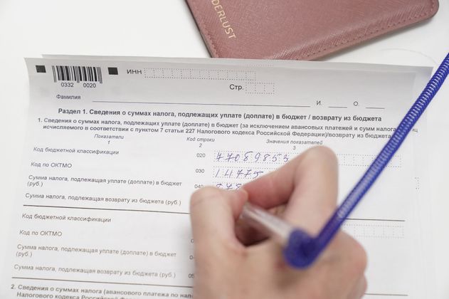 Депутат Чаплин: гражданам нужно подать декларацию о доходах за 2024 год в апреле