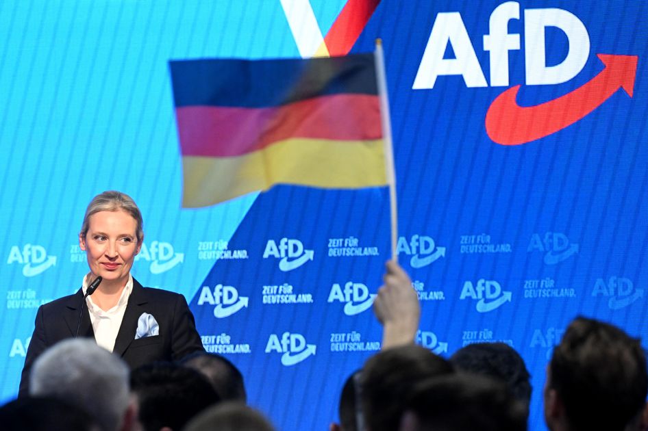 У членов партии АдГ отнимают личное оружие