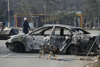 Гладков рассказал об аферах белгородцев с автомобилями ради компенсаций
