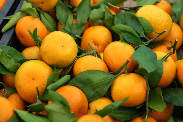 Новогодний скачок: насколько мандарины подорожают к праздникам