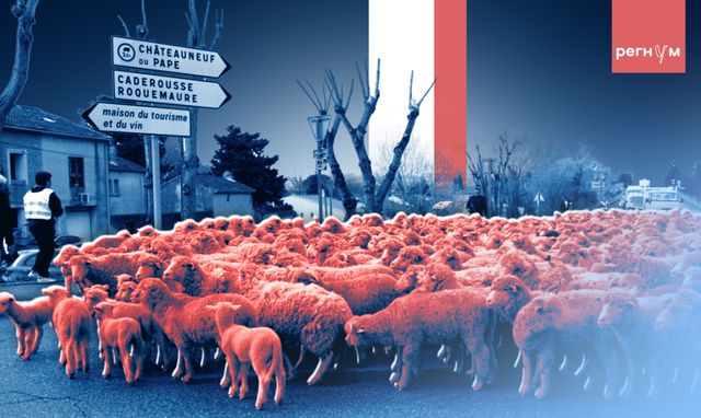 Во Франции фермеры встречают Рождество на баррикадах с шампанским и фуа-гра