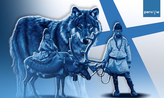 «Волки с русской ДНК». Финны прикрывают этноцид обвинениями в адрес России