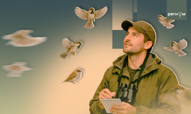 Кусты пусты: кто сумеет сосчитать всех российских воробьёв