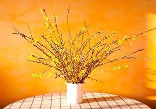 В Москве продают букеты из вербы почти за 50 тыс. рублей