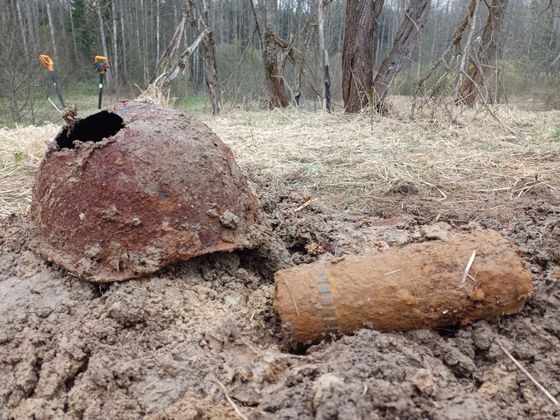 Щуп, метель и август 1941-го. Дорога к тем, кто не вернулся с большой войны